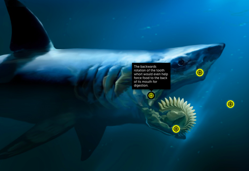 Featured picture of post "Image of the Week: Discovery creates interactive graphics for Shark Week"