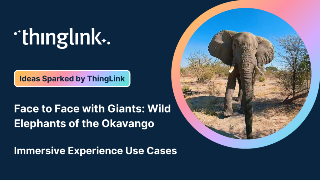 Featured picture of post "Discover How to Deploy Immersive Learning at Scale: ThingLink for Districts & Multi-Academy Trusts"