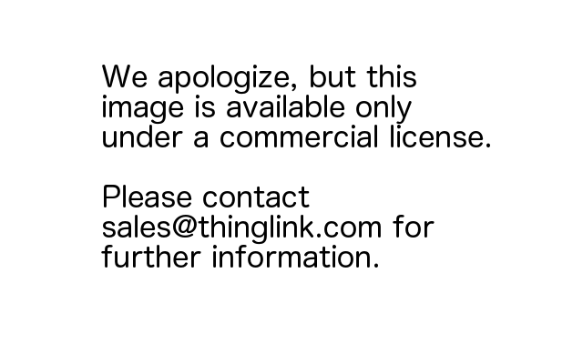 Think Cell 6 Keygen Think Cell 6 Keygen