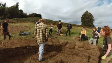 Mindful. Materials - Turf