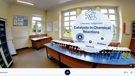 K-12 Science Experiment: Catalyst in Chemical Reactions